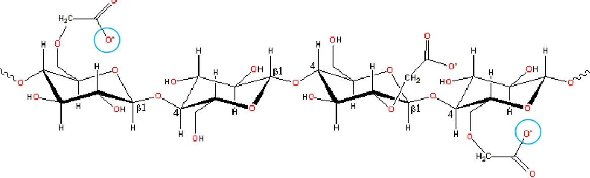 Gambar 6. Struktur molekul Carboxymethilcelulose (CMC)  Keterangan : Na +  akan mengikat O -  pada gugus karboksil