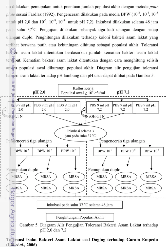 Gambar 5. Diagram Alir Pengujian Toleransi Bakteri Asam Laktat terhadap  pH 2,0 dan 7,2 