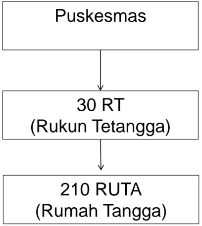 Diagram 1. Cara Pengambilan Sampel Puskesmas 30 RT  (Rukun Tetangga) 210 RUTA (Rumah Tangga)