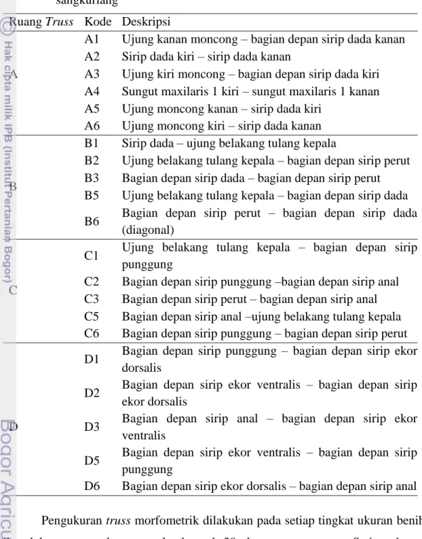 Tabel  1.  Deskripsi  21  karakter  truss  morfometrik  yang  diukur  pada  ikan  lele  sangkuriang 