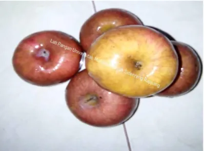 Gambar 1. Apel afkir dari toko UMS Rappang Store 