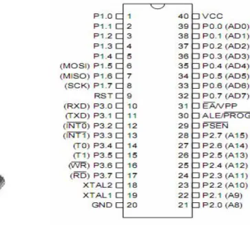 Gambar 2.1 Bentuk fisik mikrokontroler AT89S51 