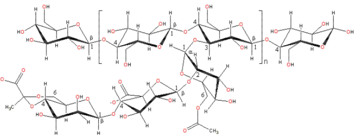 Gambar 5. Struktur Molekul Xanthan Gum (Anonim, 2007) 