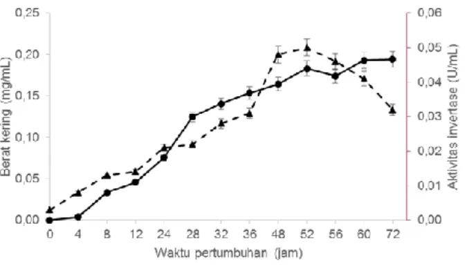 Gambar 1. Profil produksi invertase isolat SG 3.2  Pada  hasil  diatas  dapat  dilihat    profil  pertumbuhan    SG  3.2  pada  pH  netral  dan  suhu  ruang  (Gambar  1)