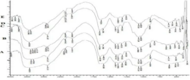 Gambar 2. Spektra FT-IR gabungan membran (A) Membran kitosan-silika 1:0; (B) Membran kitosan-silika 1:0,5; (C) Membran kitosan-silika 1:1; (D) Membran kitosan-silika 1:1,5; (E) Membran kitosan-silika 1:2