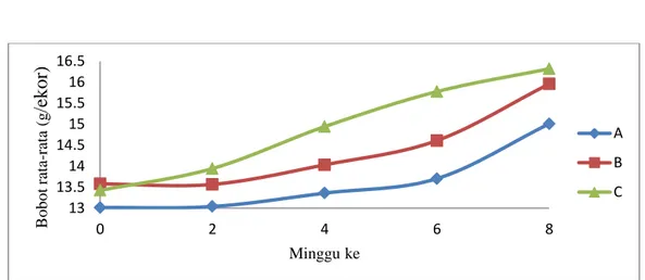 Gambar  1  Peningkatan  bobot  rata-rata  belut  sawah  Monopterus  albus  yang  dipelihara selama 56 hari dengan padat tebar yang berbeda  