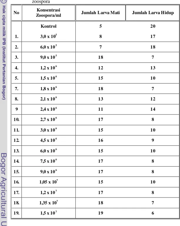 Tabel 1.   Jumlah larva  Ae. aegypti yang mati dan hidup pada setiap konsentrasi  zoospora  