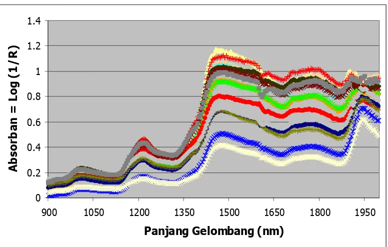 Gambar 11  Spektrum Absorban NIR Pada Beberapa Sampel Jagung. 