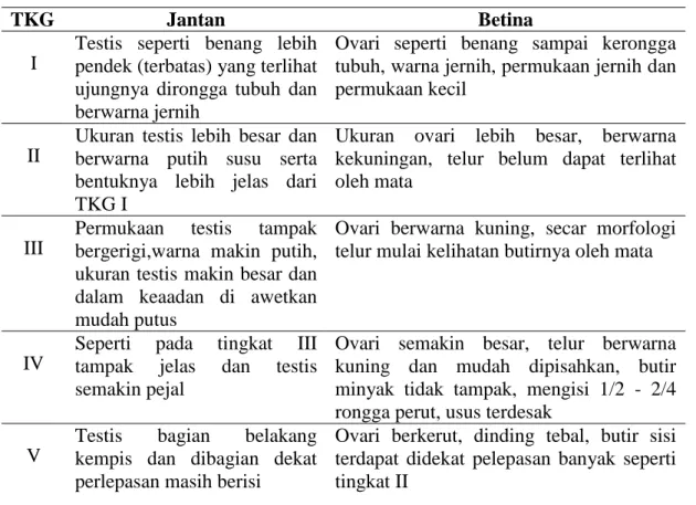 Tabel 1. Tingkat Kematangan Gonad Ikan Menrut Petunjuk Cassei (dalam   Effendi,  2002)