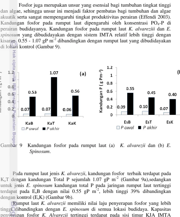 Gambar  9    Kandungan  fosfor  pada  rumput  laut  (a)    K.  alvarezii  dan  (b)  E
