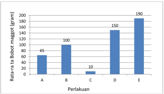 Gambar 3. Grafik Rata-rata Panjang Maggot (cm). 