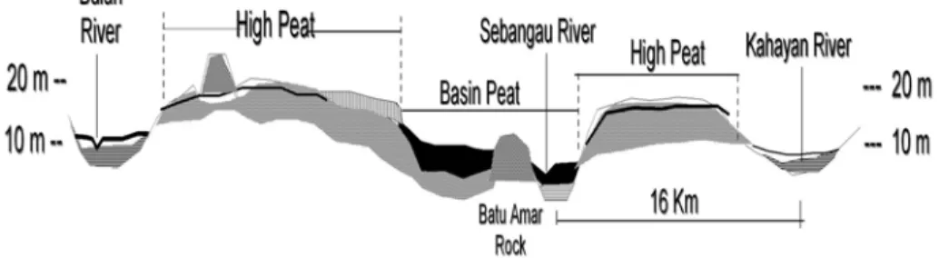 Gambar 1. Profil Melintang (Cross Section) Lahan Rawa Gambut antara  SungaiKahayan, Sungai Sebangau dan Sungai Bulan Kalimantan Tengah 