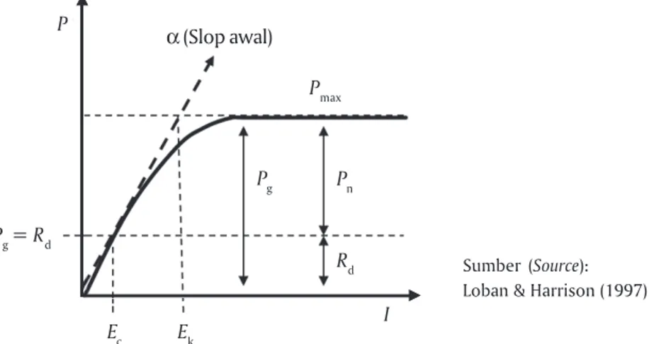 Gambar 3. Model kurva P-I yang digunakan untuk men-estimasi parameter-parameter fotosintesis