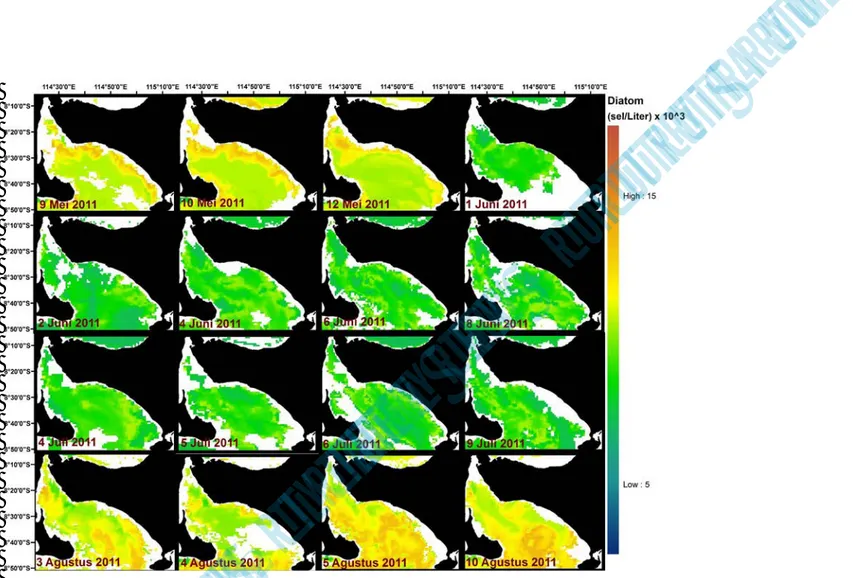 Gambar 5. Prakiraan harian sebaran kelimpahan diatom periode musim timur 2011 (Daily prediction of diatom abundance  distribution during southeast monsoon period 2011)