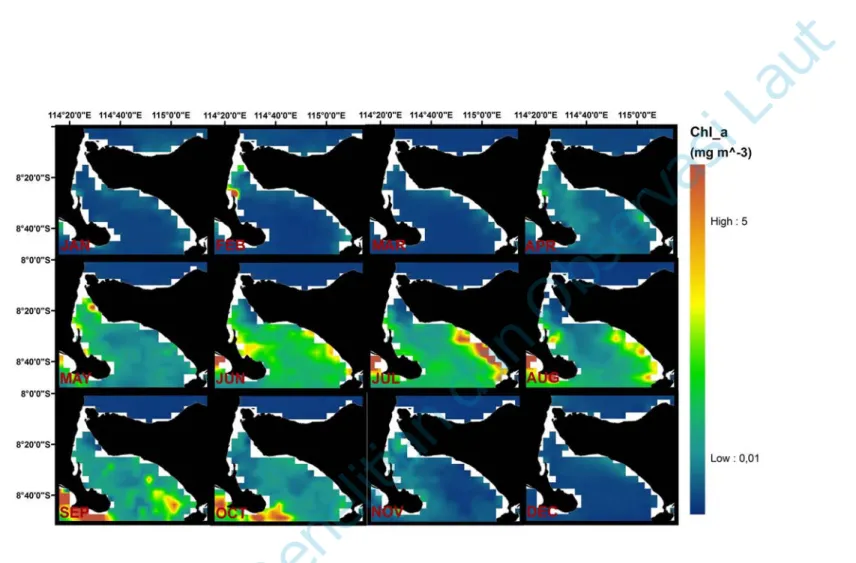 Gambar 2. Komposit bulanan SSC Selat Bali dari data level 3 Sensor MODIS Aqua periode 2008 -2010 (Monthly composite images  of Bali Strait’s SSC derived from 3 rd  level of MODIS Aqua on 2008-2010 period)