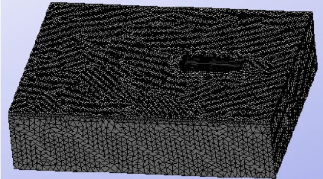 Gambar 4.6 Meshing Boundary  4.2.2.  Solver Manager 