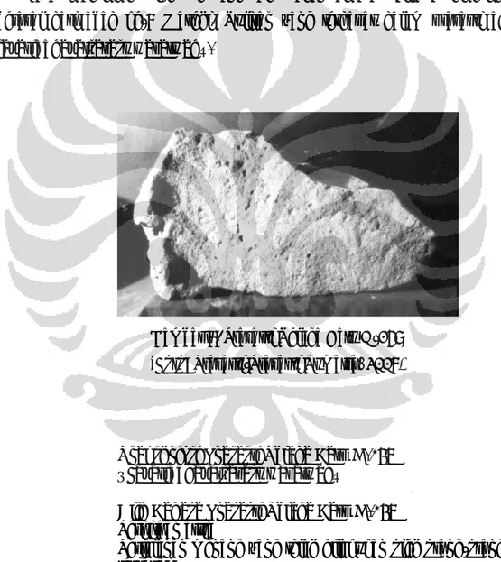 Gambar 9. Prasasti Telaga Batu D-158  (Foto: Prasasti-Prasasti Sumatra, 2007) 