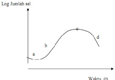 Gambar  2.6  Kurva  Pertumbuhan  Bakteri,  Keterangan:  fase  pertumbuhan:  a=  fase  lag;  b=fase  eksponensial;  c=fase  stasioner  dan  d=fase kematian populasi (Brock and Madigan,1991).