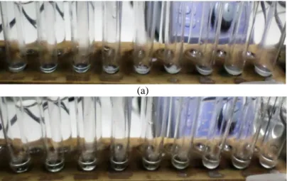 Gambar  4.4(a)  Isoelectric  point  medium  B4  urea  (b)  Isoelectric  point medium B4 urin