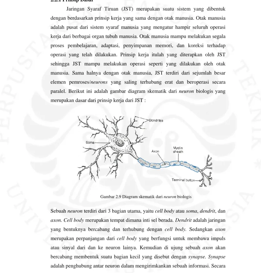 Gambar 2.9 Diagram skematik dari neuron biologis               