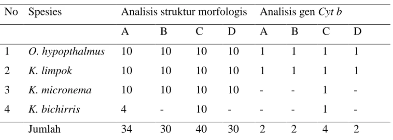 Tabel 2  Jenis dan jumlah individu ikan lais yang digunakan untuk analisis  No  Spesies  Analisis struktur morfologis  Analisis gen Cyt b 