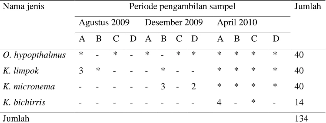 Tabel 3  Jenis dan jumlah ikan lais yang ditemukan setiap periode pengambilan  sampel 