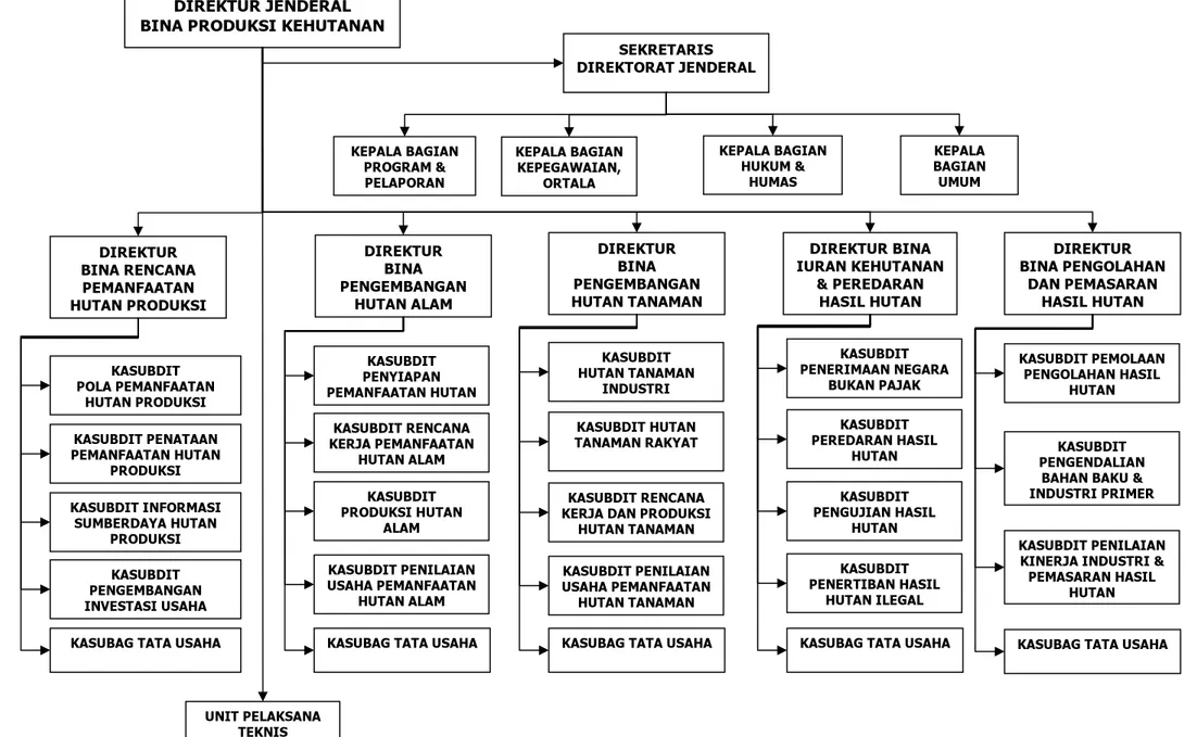 Gambar 1.  BAGAN ORGANISASI DIREKTORAT JENDERAL BINA PRODUKSI KEHUTANAN