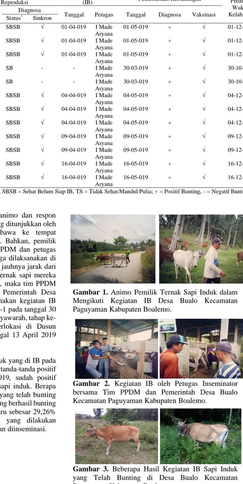 Gambar  1.  Animo  Pemilik  Ternak  Sapi  Induk  dalam  Mengikuti  Kegiatan  IB  Desa  Bualo  Kecamatan  Paguyaman Kabupaten Boalemo