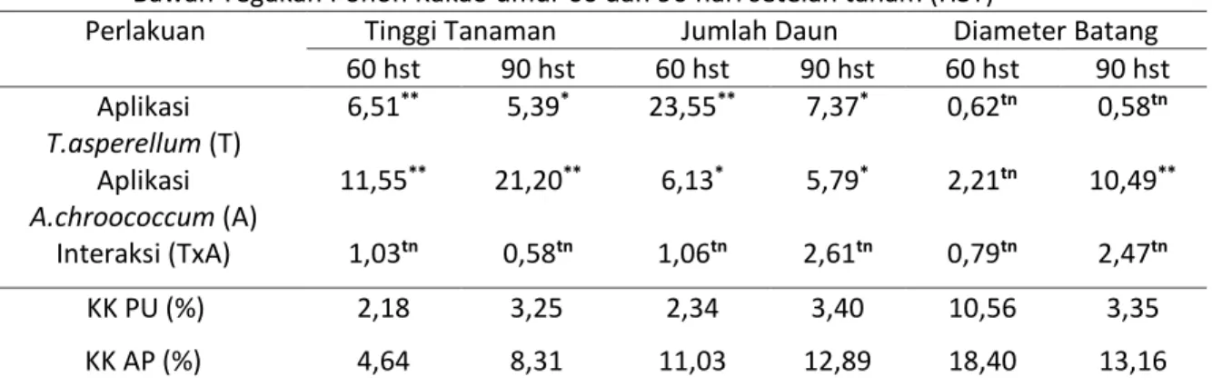 Tabel  1.  Nilai probabilitas analisis varians  Tinggi,  Jumlah  Daun dan  Diameter Batang  semaian  Kakao  pada  Perlakuan  Frekuensi  Pemberian  T.asperellum  dan  A.chroococcum    di  Bawah Tegakan Pohon Kakao umur 60 dan 90 hari setelah tanam (HST) 