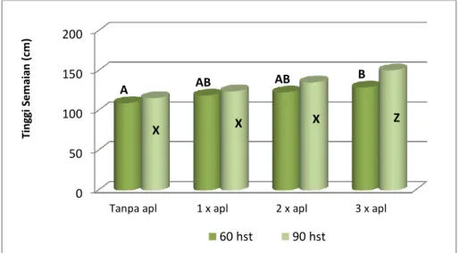 Gambar 1. Pengaruh T.asperellum terhadap Tinggi semaian Kakao  Pada Gambar 2 menunjukkan bahwa aplikasi 