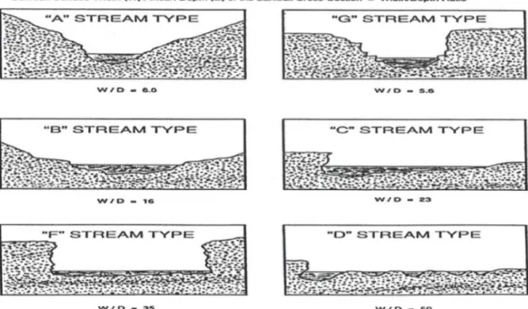 Gambar 3.4 Contoh W/D Ratio mewakili tipe sungai (Rosgen, 1996) 