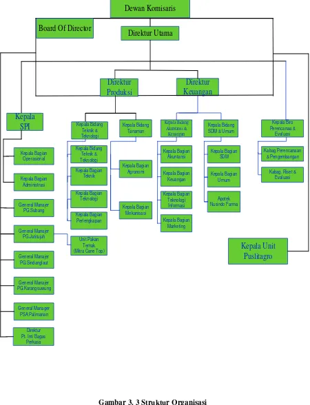 Gambar 3. 3 Struktur Organisasi 