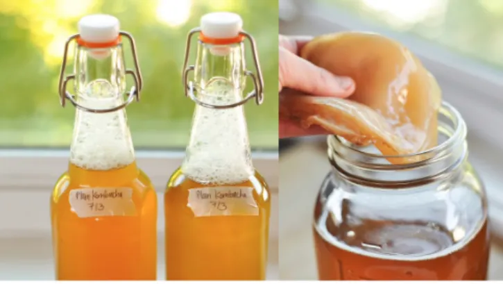 Gambar 1. Kombucha Gambar 2. Scoby Sumber: Kitchn, 2020