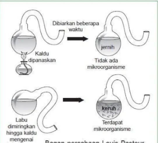 Gambar 5. Percobaan Pengamatan Louis Pasteur  Hasil percobaan Louis Pasteur, yakni : 