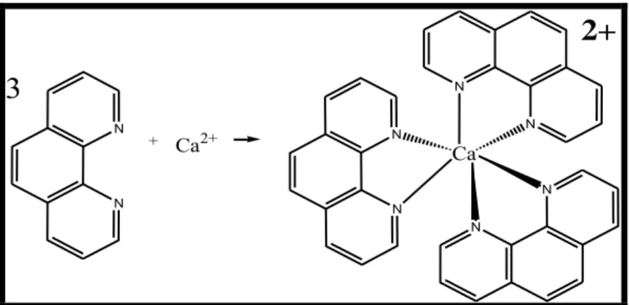 Gambar  2.4  Reaksi  Pembentukan  Senyawa  Kompleks  Kalsium  (II)-fenantrolin (Liu, J