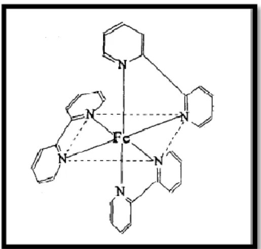 Gambar 2.3 Struktur Oktahedral Senyawa Kompleks Besi  (II)-fenantrolin (Liu, C. dkk, 1996) 