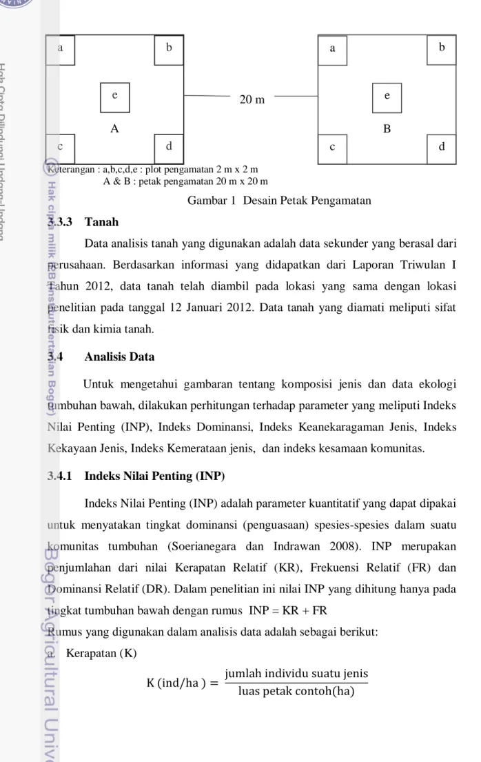 Gambar 1  Desain Petak Pengamatan  3.3.3   Tanah 