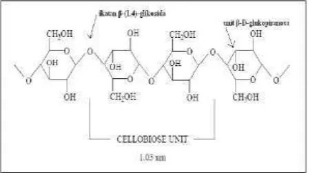 Gambar 2.1 struktur selulosa (Ibrahim, 1998) 