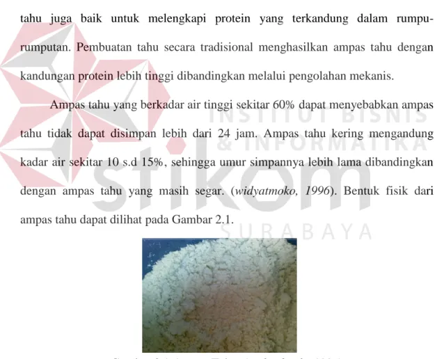 Gambar 2.1 Ampas Tahu. (widyadmoko,1996) 