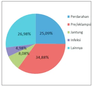 Gambar 3a.   Penyebab  kematian  ibu  di  negara  sedang  berkembang  (Bale et al., 2003).