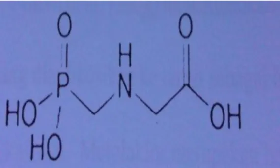 Gambar 1.  Struktur kimia glifosat 