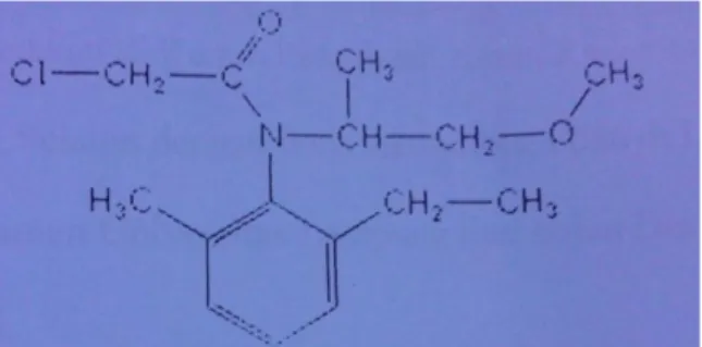 Gambar 3. Struktur kimia metolaklor