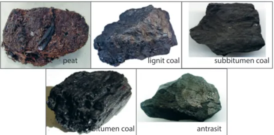 Gambar gambut (peat) dan empat jenis batu bara.  (Sumber:  wikimedia.org; fl ickr.