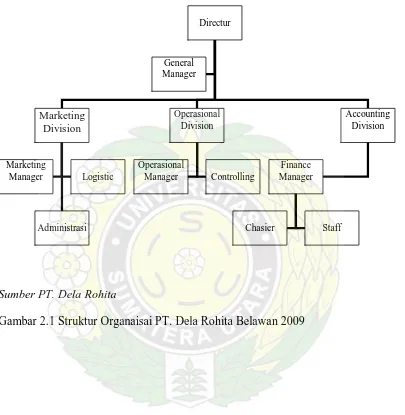 Gambar 2.1 Struktur Organaisai PT. Dela Rohita Belawan 2009 