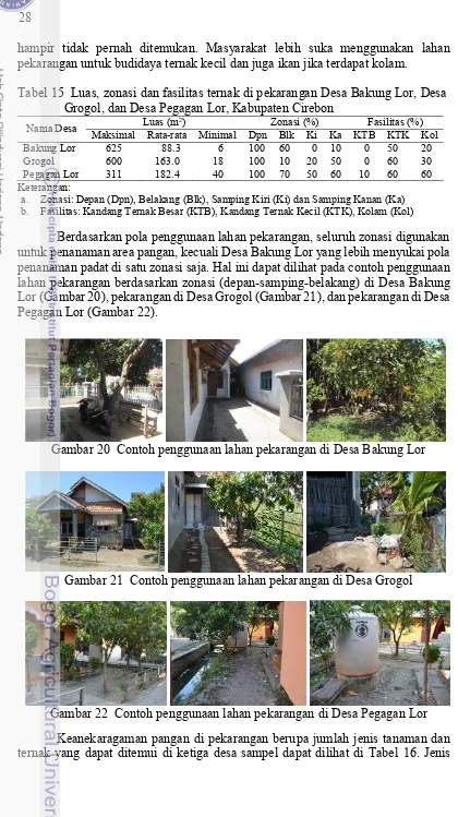 Tabel 15  Luas, zonasi dan fasilitas ternak di pekarangan Desa Bakung Lor, Desa 
