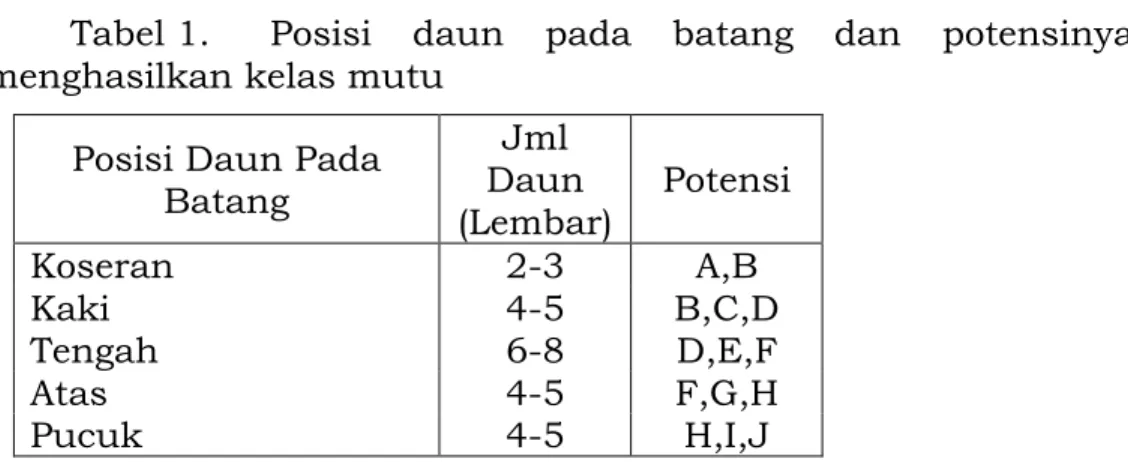Tabel 1.  Posisi  daun  pada  batang  dan  potensinya  menghasilkan kelas mutu 