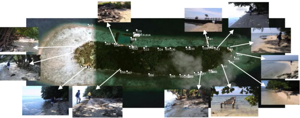 Gambar 12.  Tipologi dan karakteristik pantai Kotok Besar. 