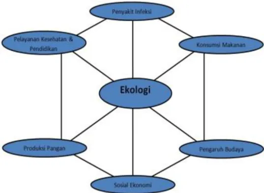 Gambar faktor ekologi manusia 