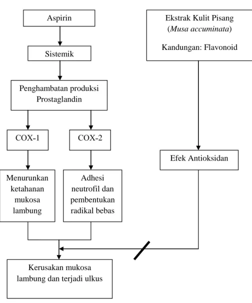 Gambar 6. Kerangka Teori 