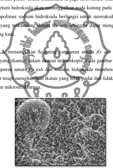 Gambar  2.2.  menampilkan  Scanning  campuran  antara  fly  ash  dengan  sodium  hidroksida yang diamati dalam ukuran mikroskopis